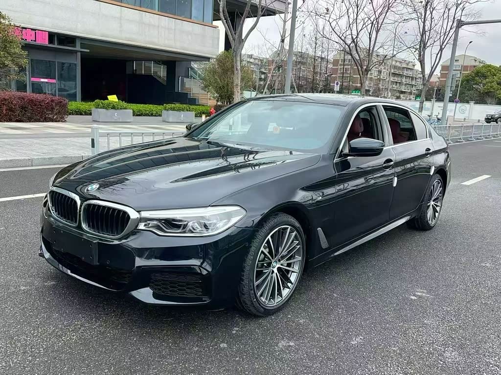 BMW5 Series 2020 530Li Leading M Sport Package