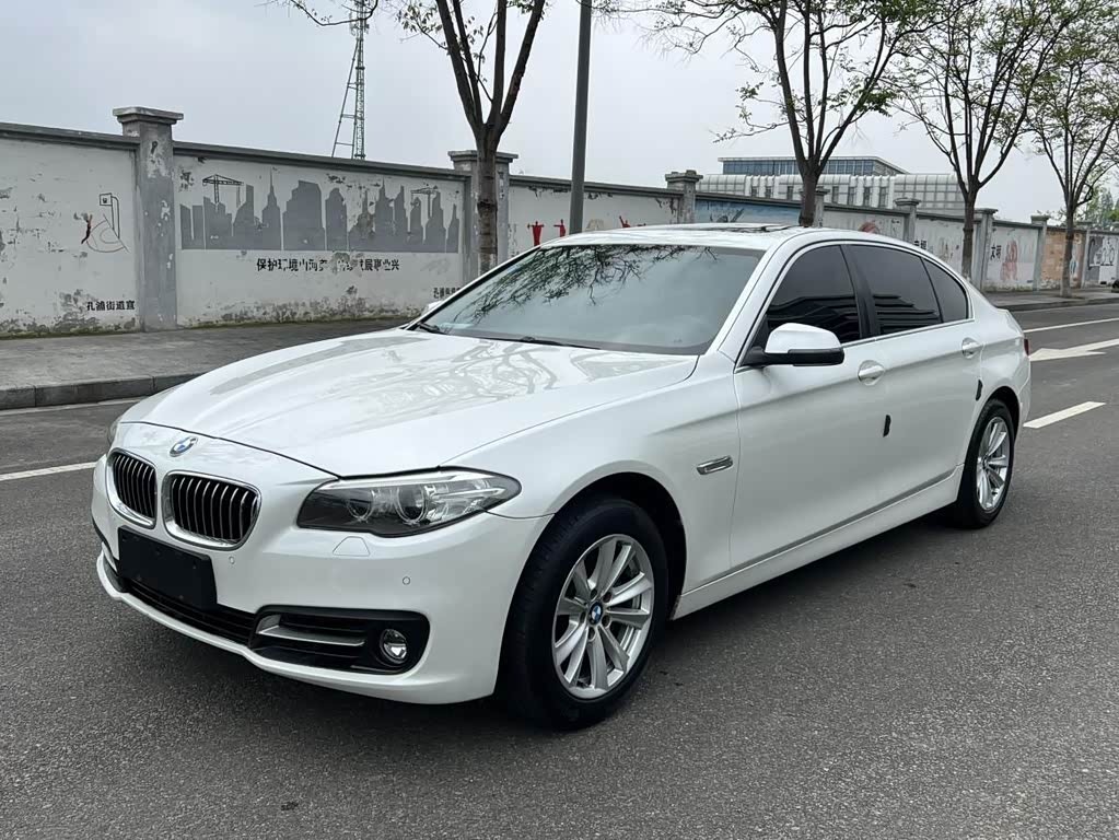 BMW5 Series 2017 520Li