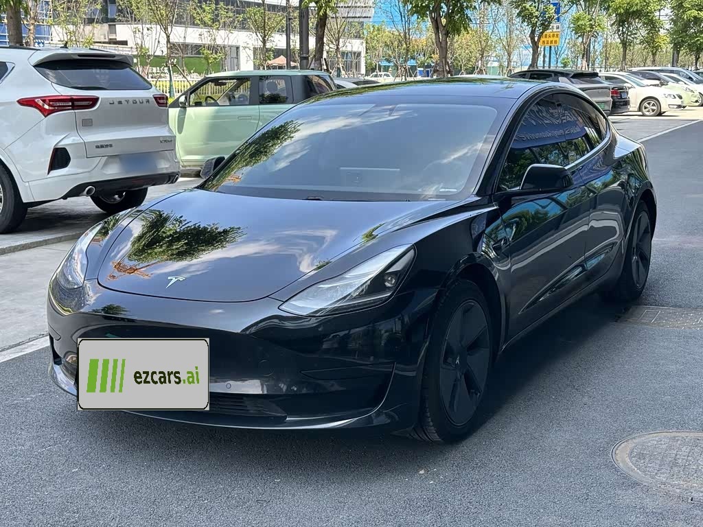 Model 3 2021 Standard Range RWD Upgraded