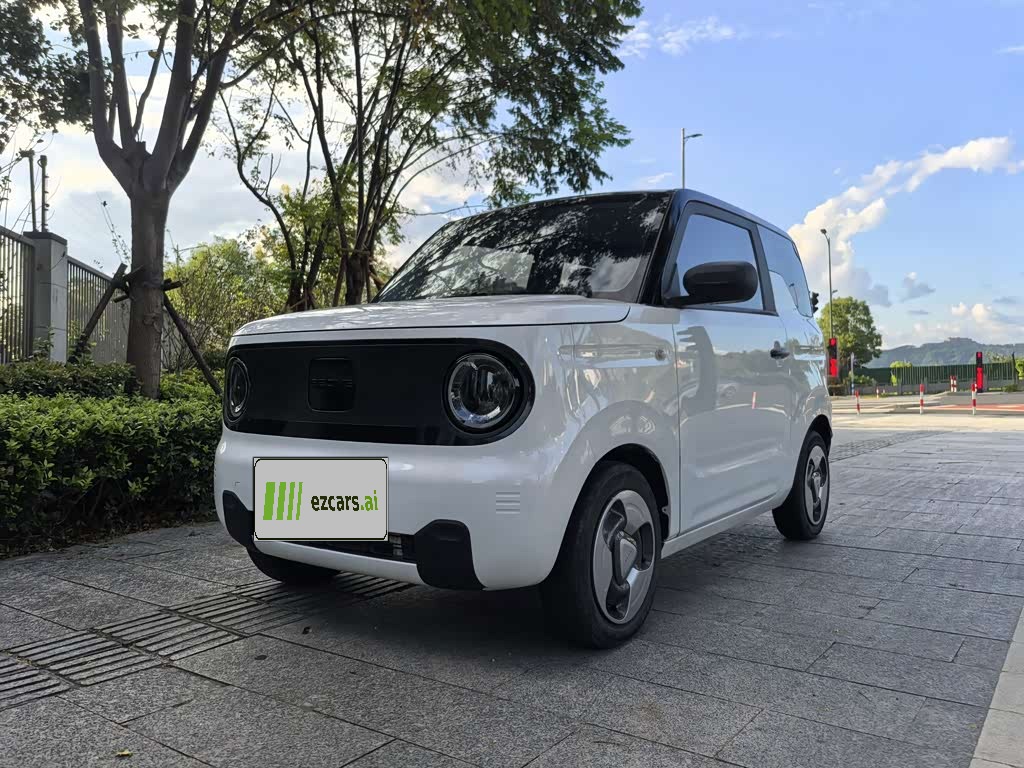 Panda 2023 Panda mini