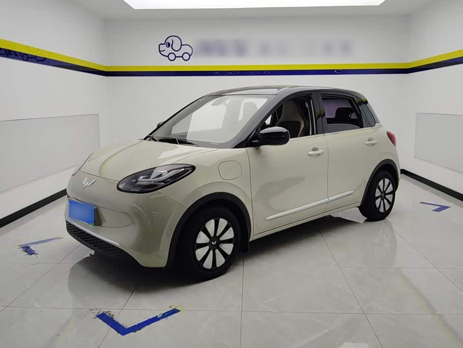 Bingo 2023 333km +