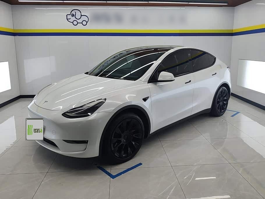 Model Y 2021 Standard Range RWD
