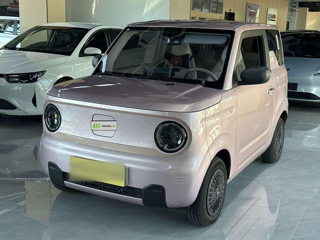 Panda 2024 Panda mini 200km Endurance Bear