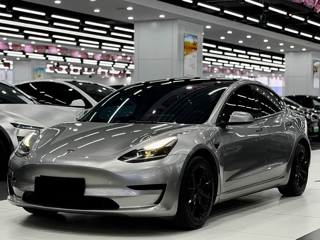 Model 3 2021 Standard Range RWD Upgraded 3D6