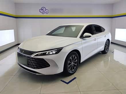 Qin L 2024 DM-i 80KM Leading