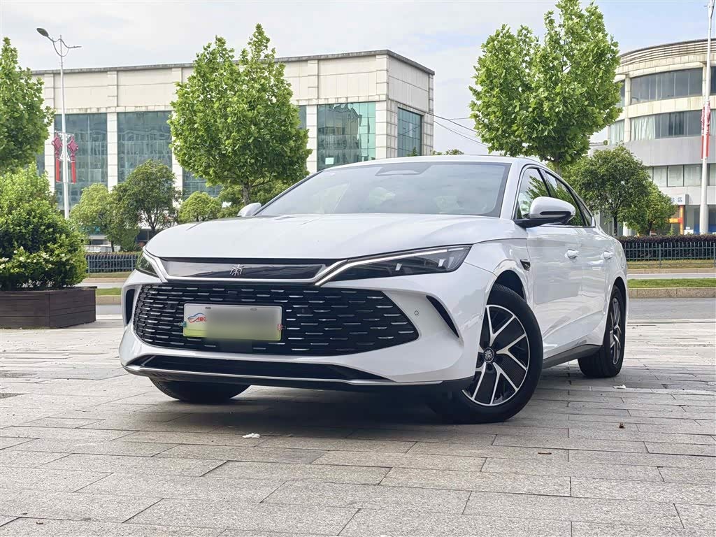 Qin L 2025 DM-i ADAS 120KM