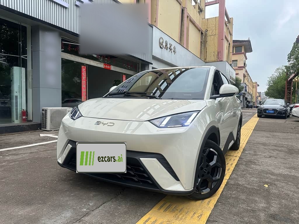 Seagull 2025 ADAS 305km
