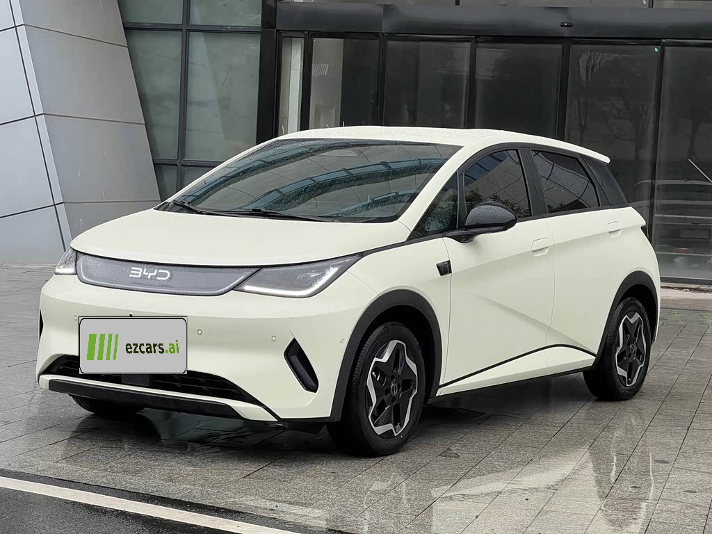 Dolphin 2025 ADAS 420km