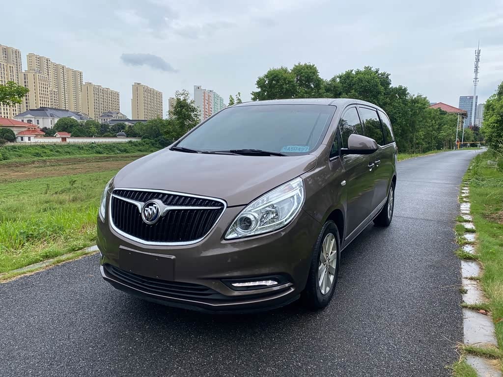 GL8 2017 25S Luxury China V