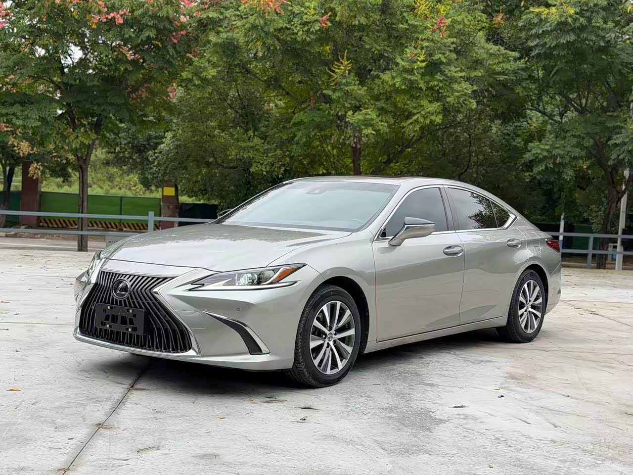 LexusES 2018 200 Excellence China V