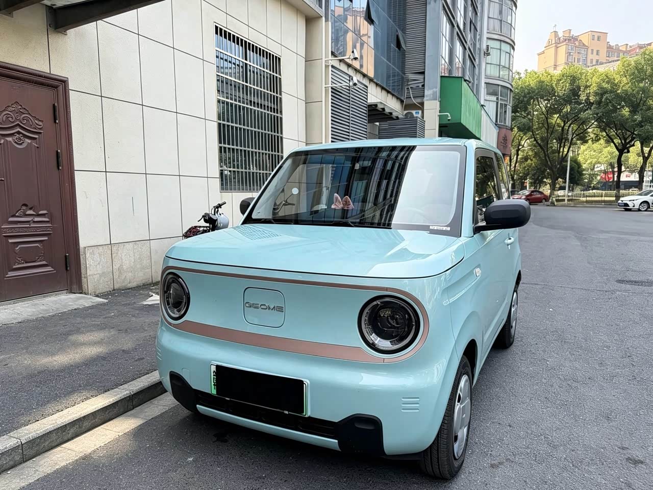 Panda 2024 Panda mini 200km Endurance Bear