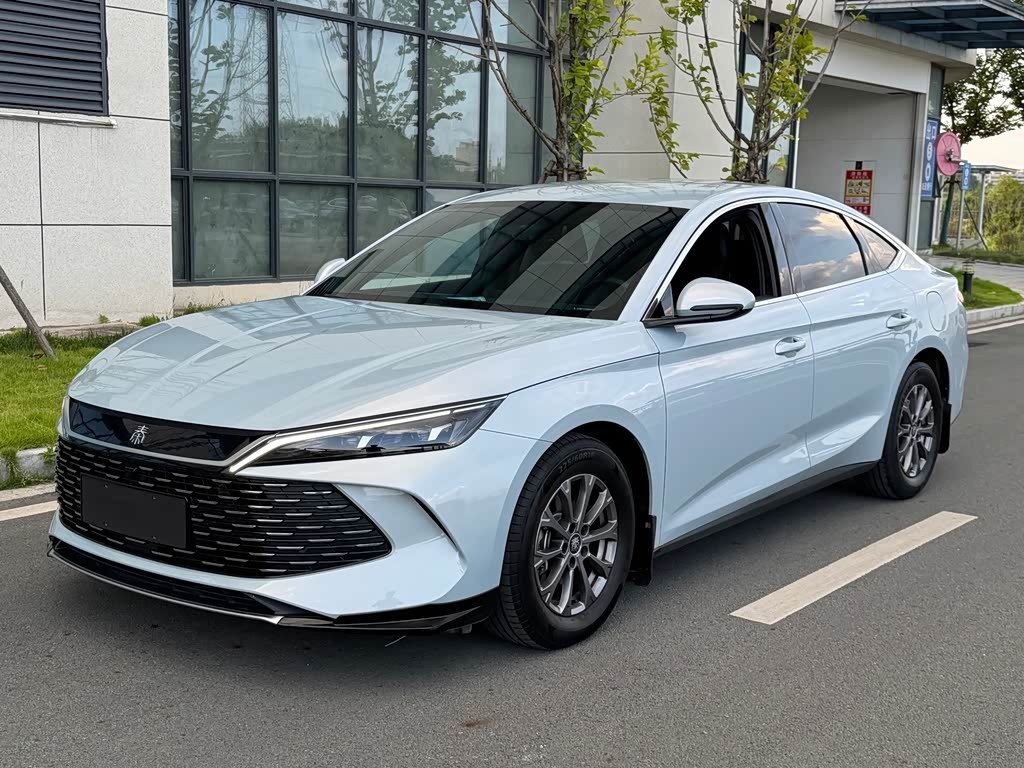 Qin L 2024 DM-i 80KM Leading