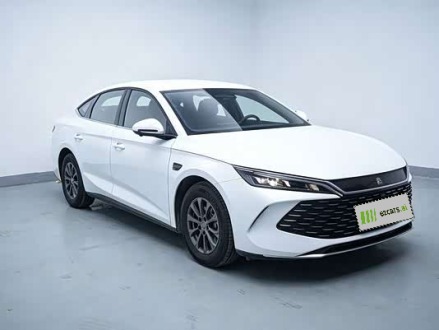 Qin L 2025 DM-i ADAS 80KM Leading