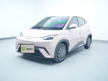 Seagull 2025 305km