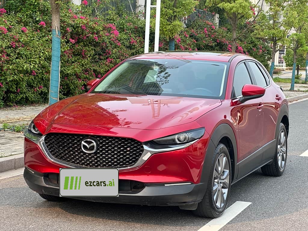 MazdaCX-30 2020 2.0L AT Jiayue