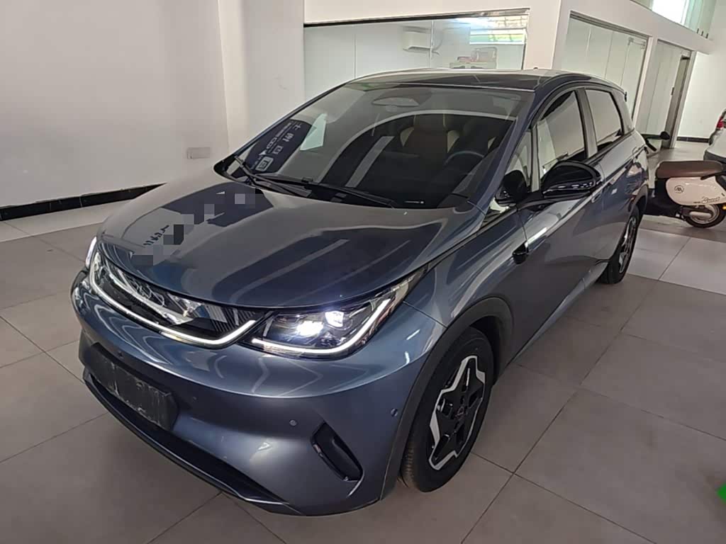 Dolphin 2025 ADAS 420km