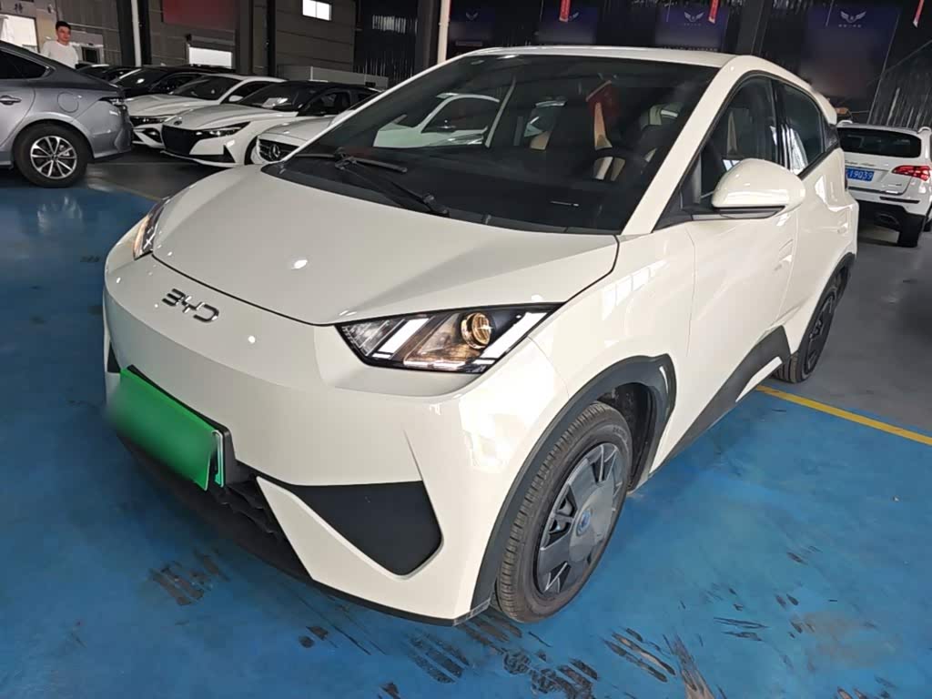 Seagull 2025 ADAS 305km