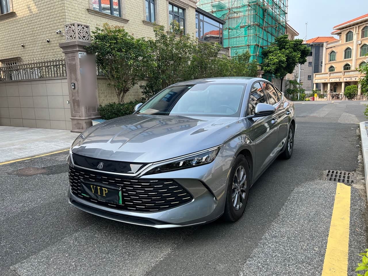 Qin L 2024 DM-i 80KM Leading