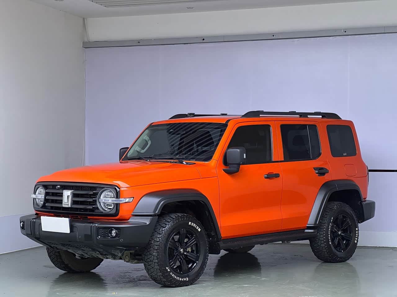 300 2021 Off-road 2.0T Conqueror