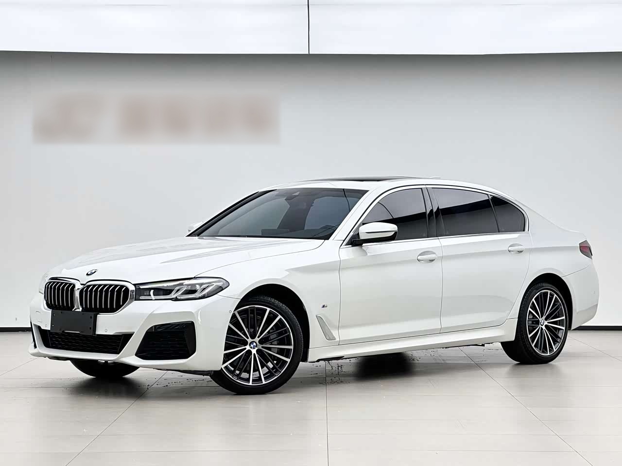 BMW5 Series 2023 530Li Leading M Sport Package