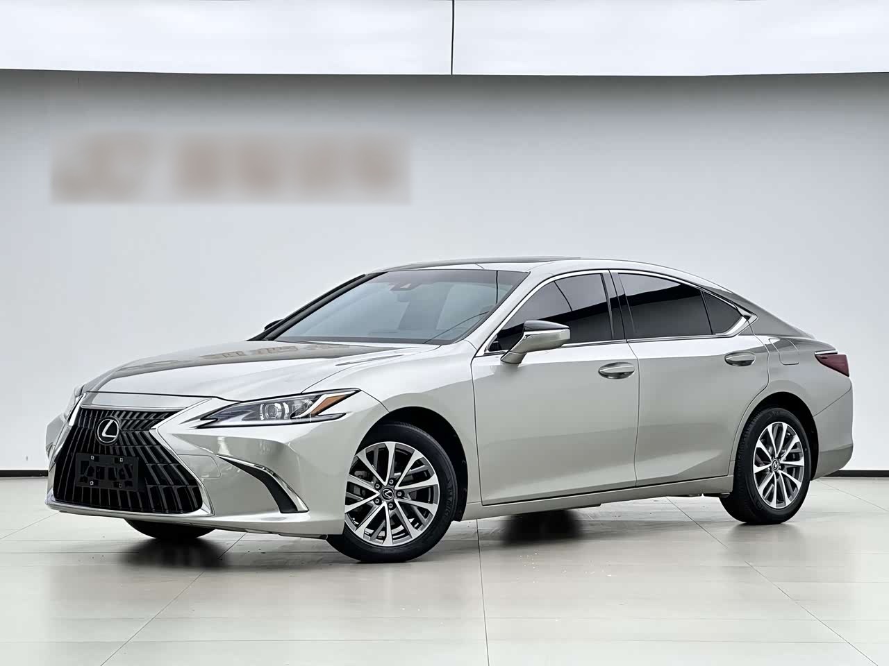 LexusES 2021 260 Excellence