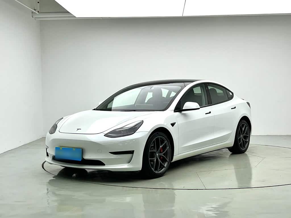 Model 3 2021 Performance AWD 3D6