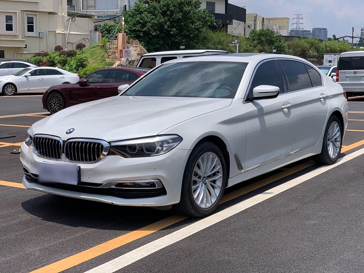 BMW5 Series 2019 530Li Leading Luxury