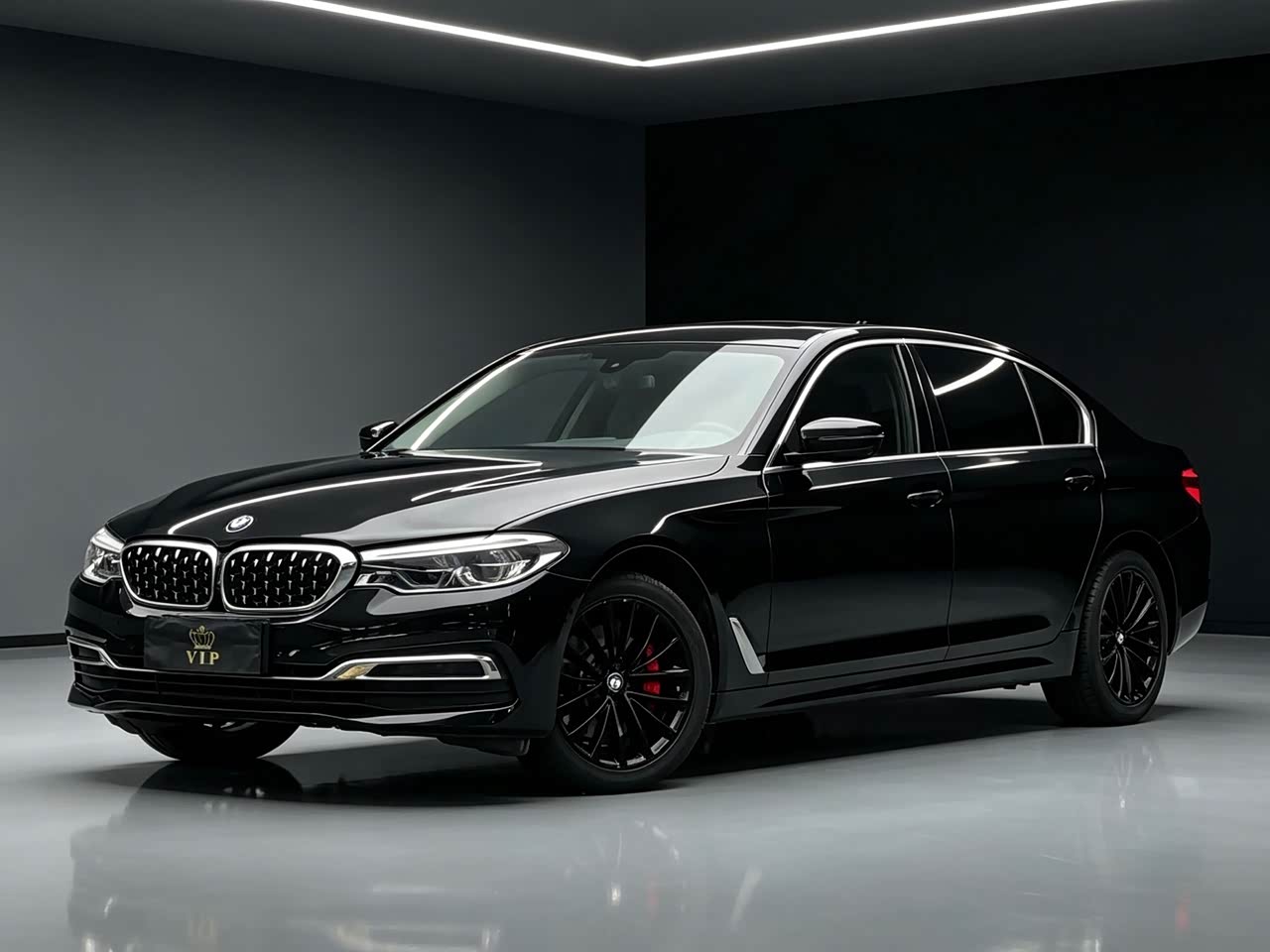 BMW5 Series 2020 530Li Exclusive Luxury