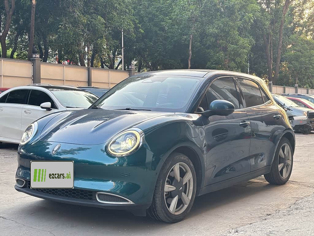 Good Cat 2021 400km Standard Range LFP