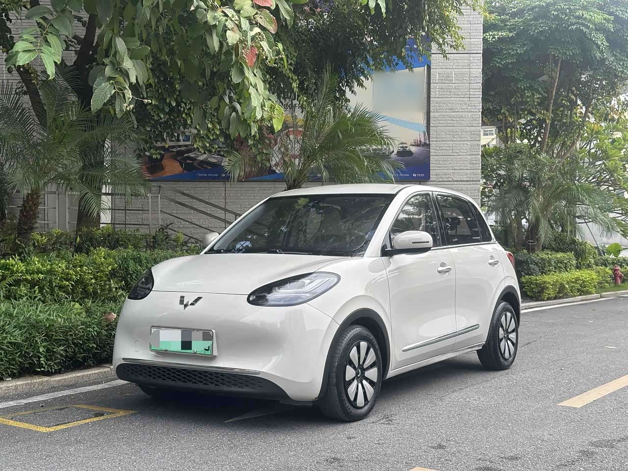 Bingo 2023 203km