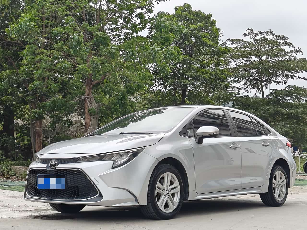 Levin 2019 185T CVTLuxury China V