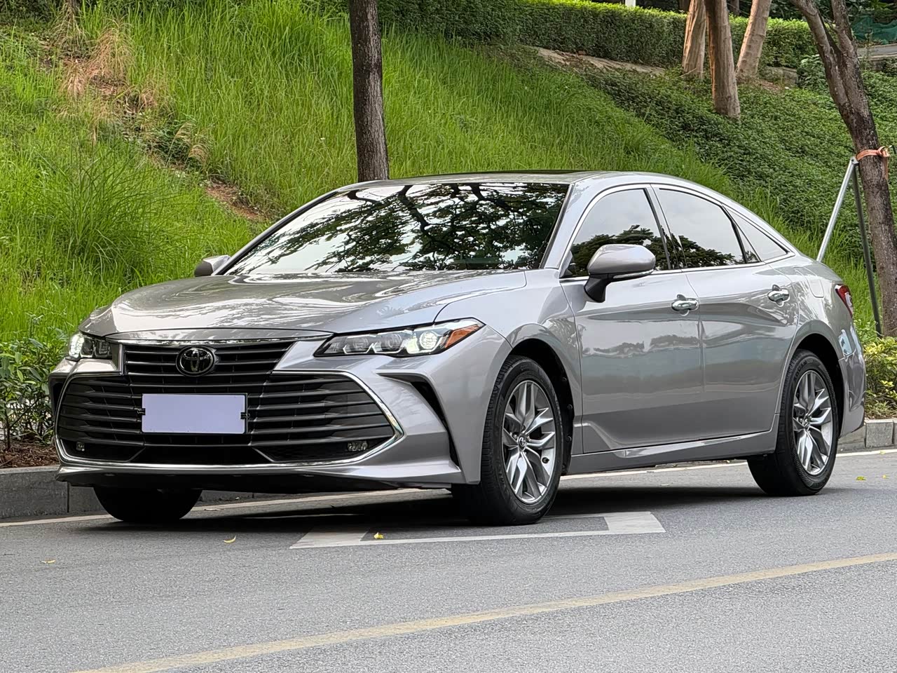 Avalon 2019 2.0L Luxury China VI