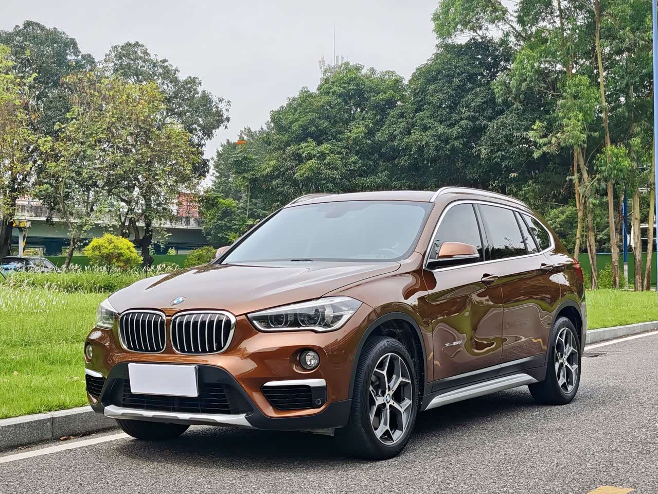 BMWX1 2016 sDrive20Li Luxury
