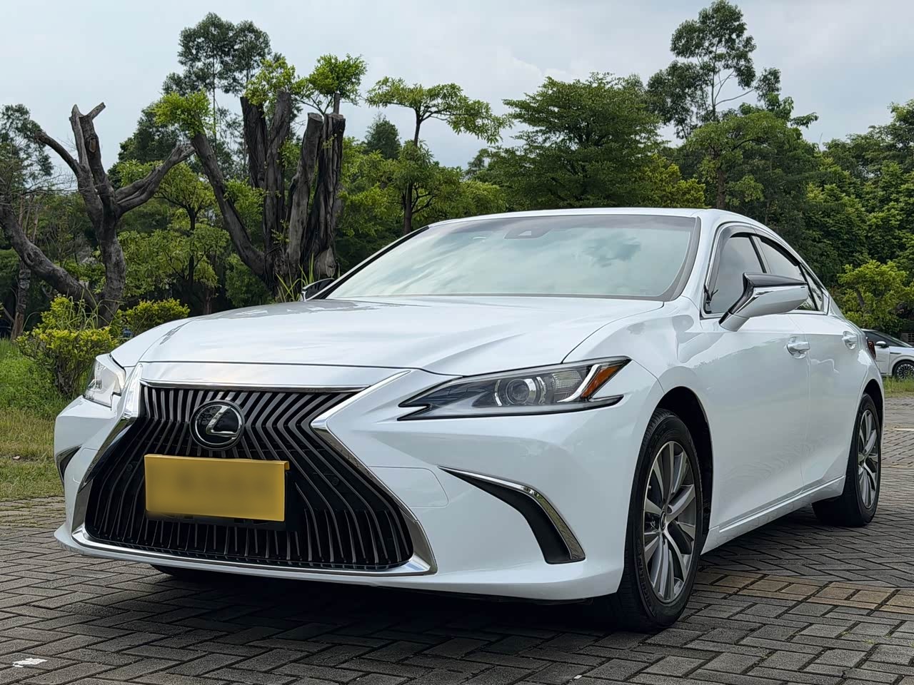 LexusES 2020 260 Excellence