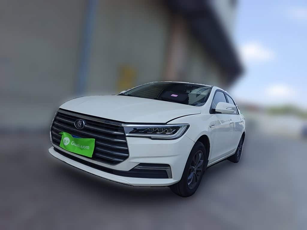 Qin 2019 1.5L AT Luxury