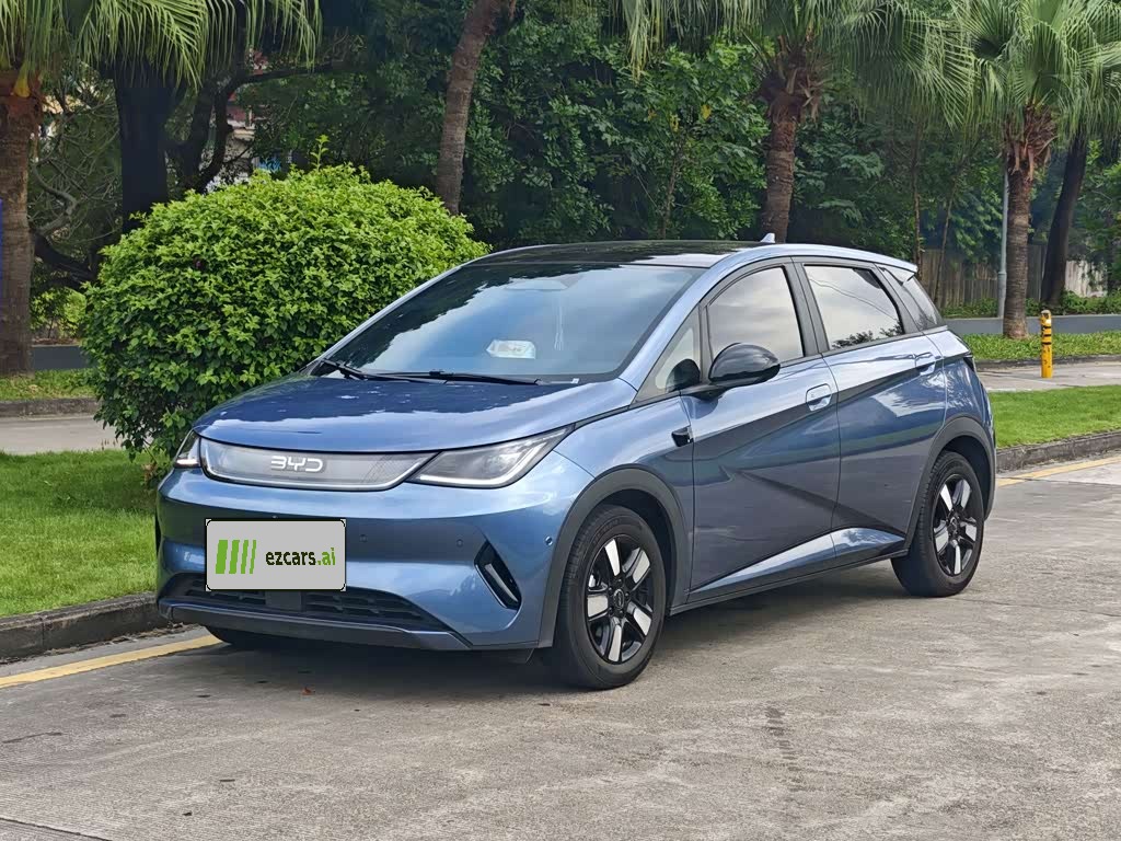 Dolphin 2025 ADAS 410km Fashion