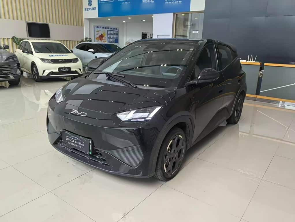 Seagull 2025 ADAS 305km