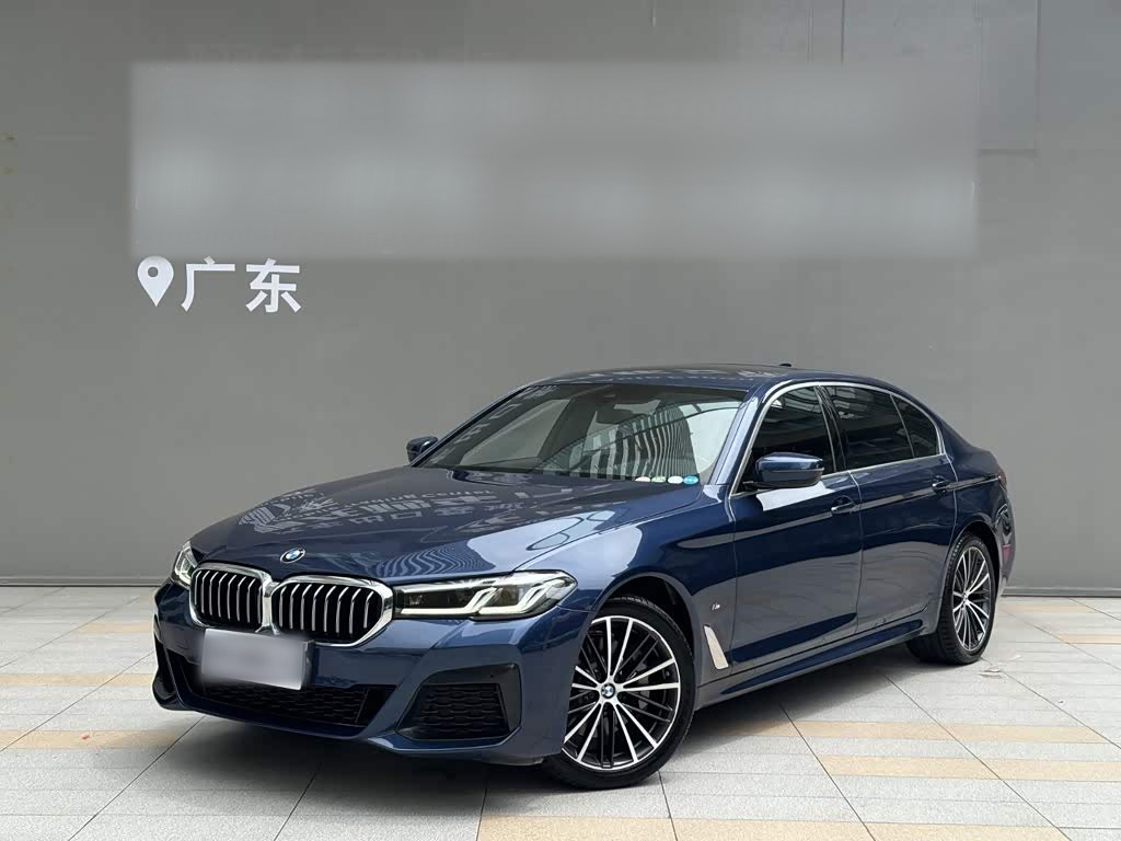 BMW5 Series 2021 530Li Leading M Sport Package