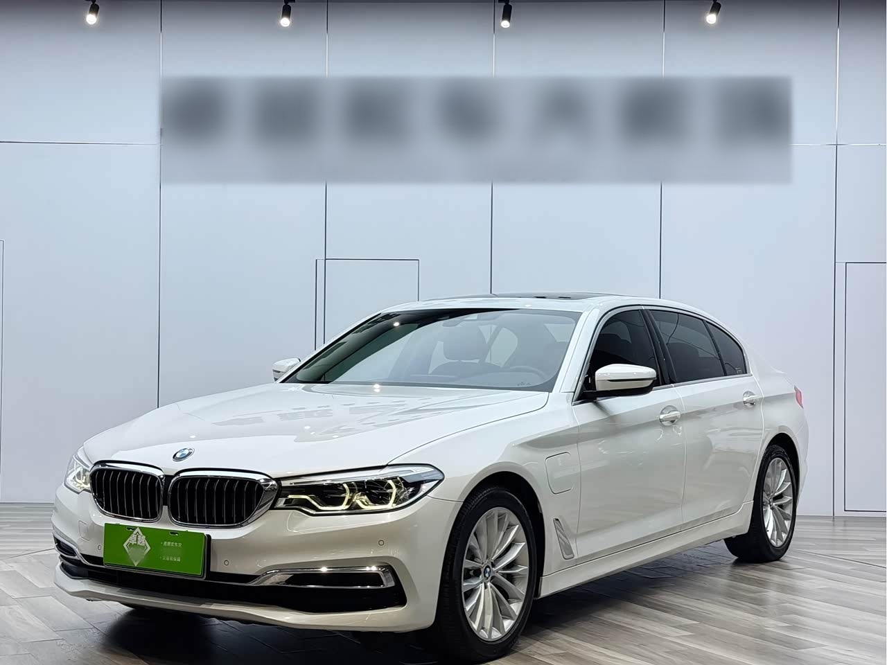 BMW5 Series EV 2020 Upgraded 530Le Luxury