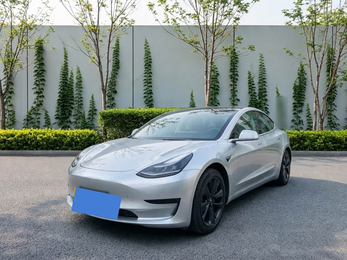 Model 3 2019 Standard Range RWD Upgraded