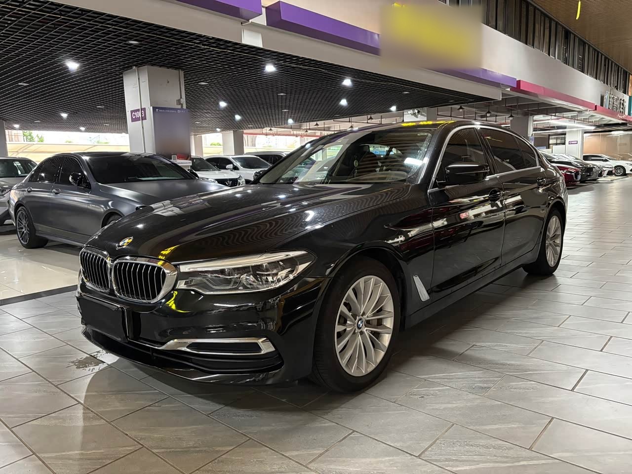 BMW5 Series 2020 530Li Exclusive Luxury