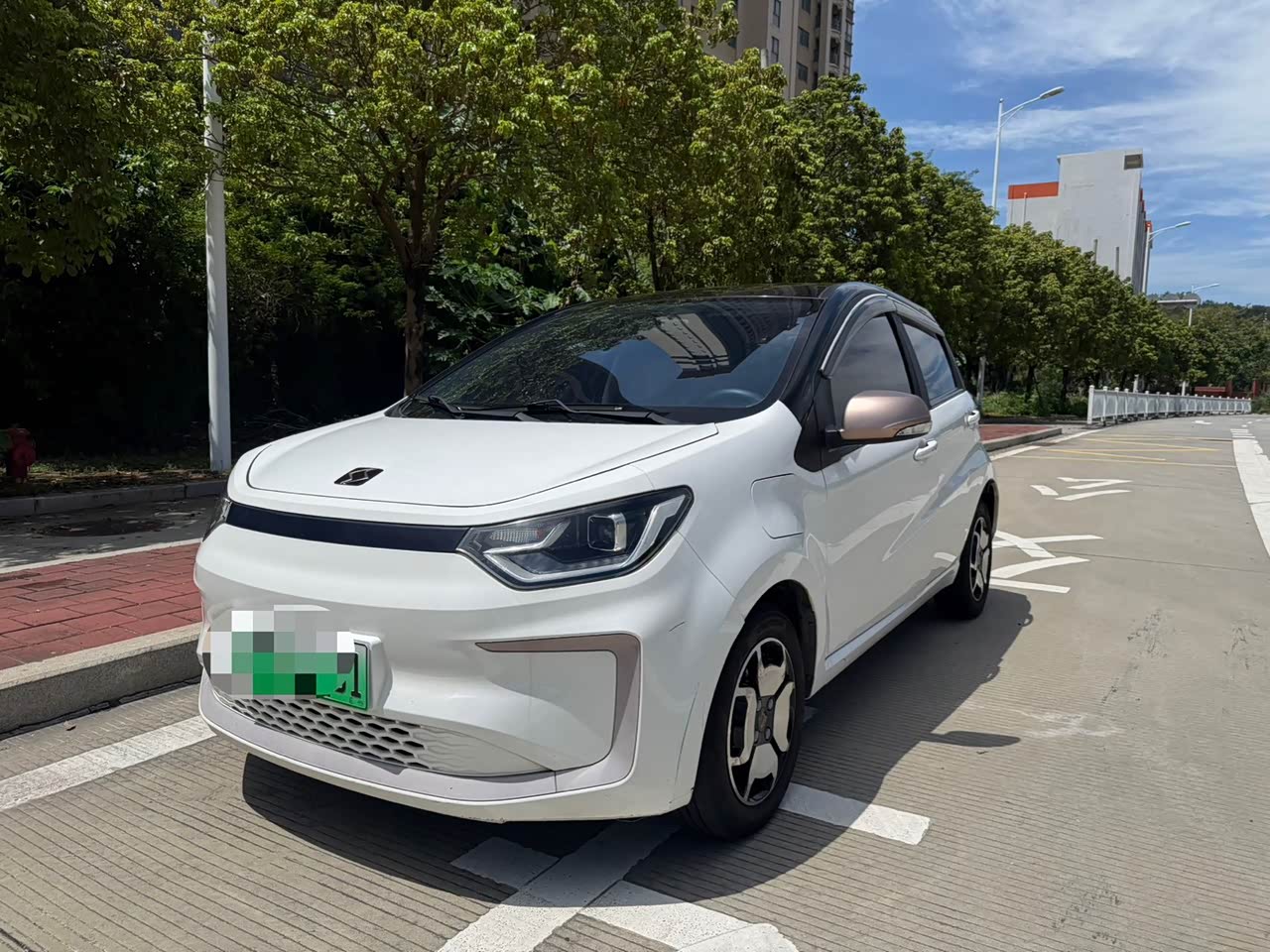 Flower Fairy 2021 302km 31.4kWh