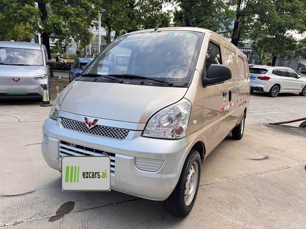 Rongguang EV 2020 Base 2-Seater300KM