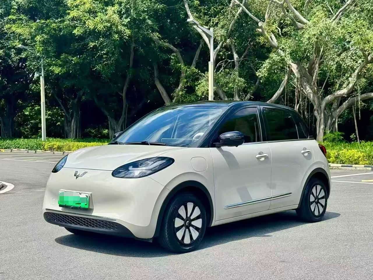Bingo 2024 333km