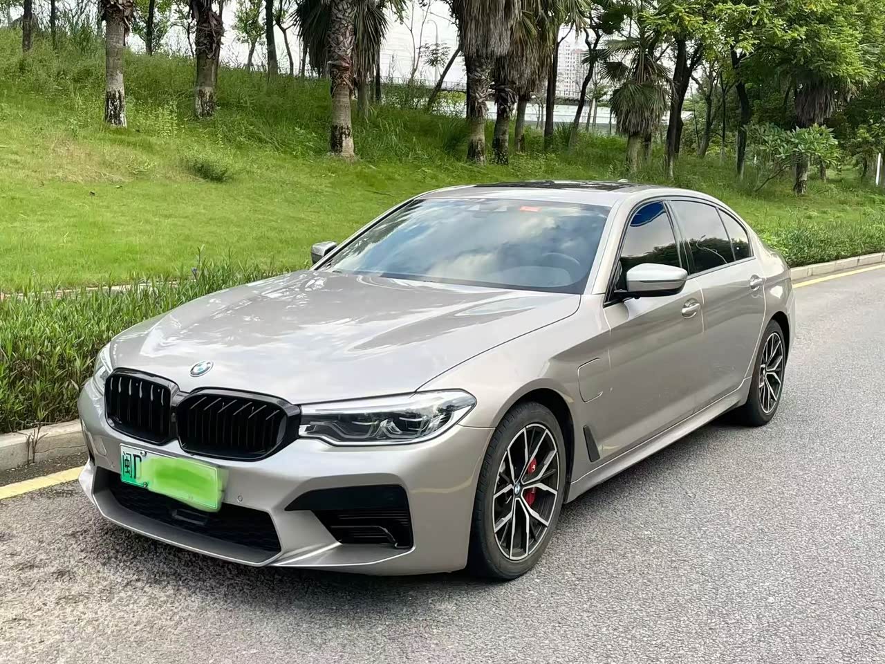 BMW5 Series EV 2020 530Le