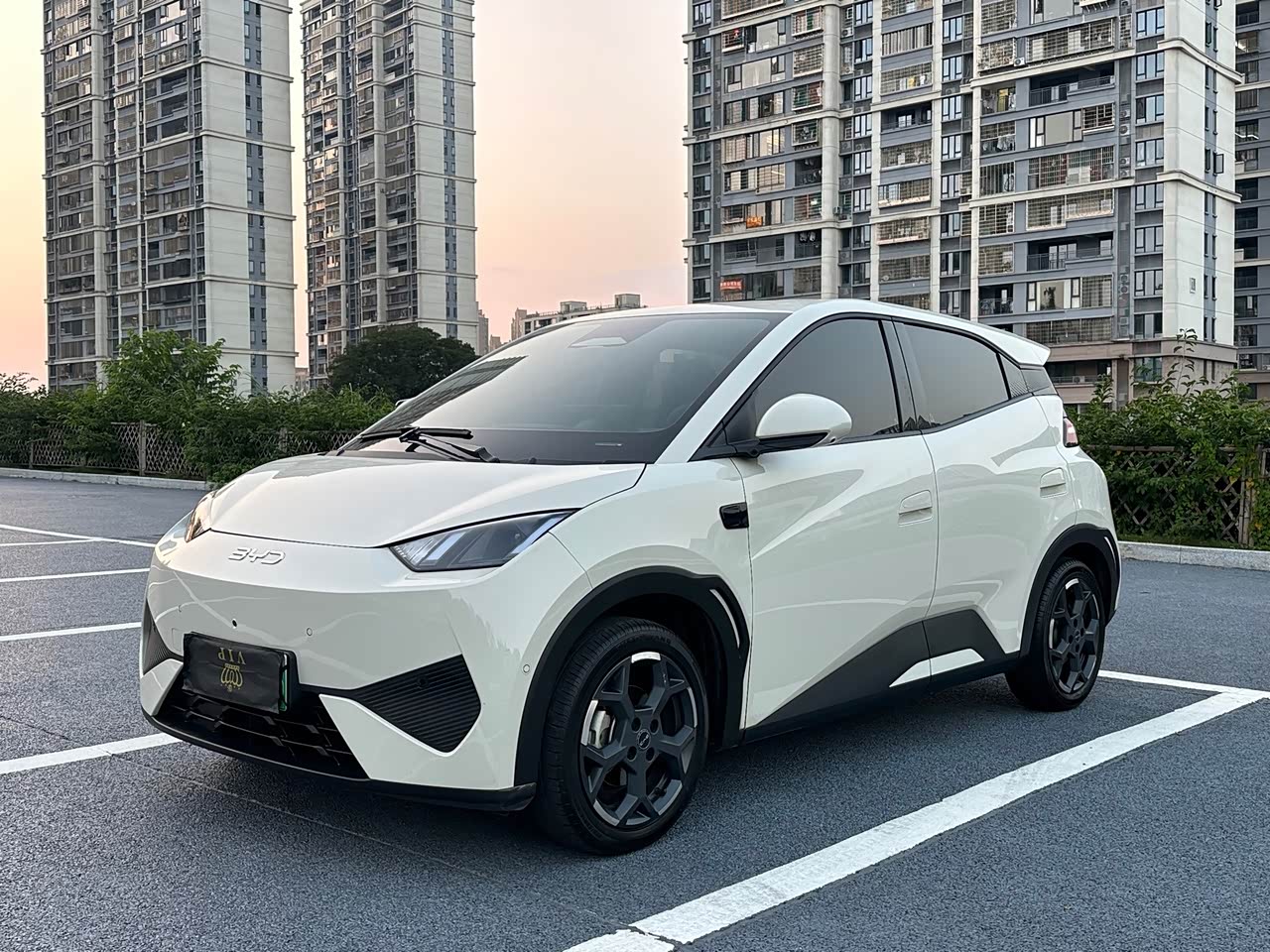 Seagull 2025 ADAS 305km