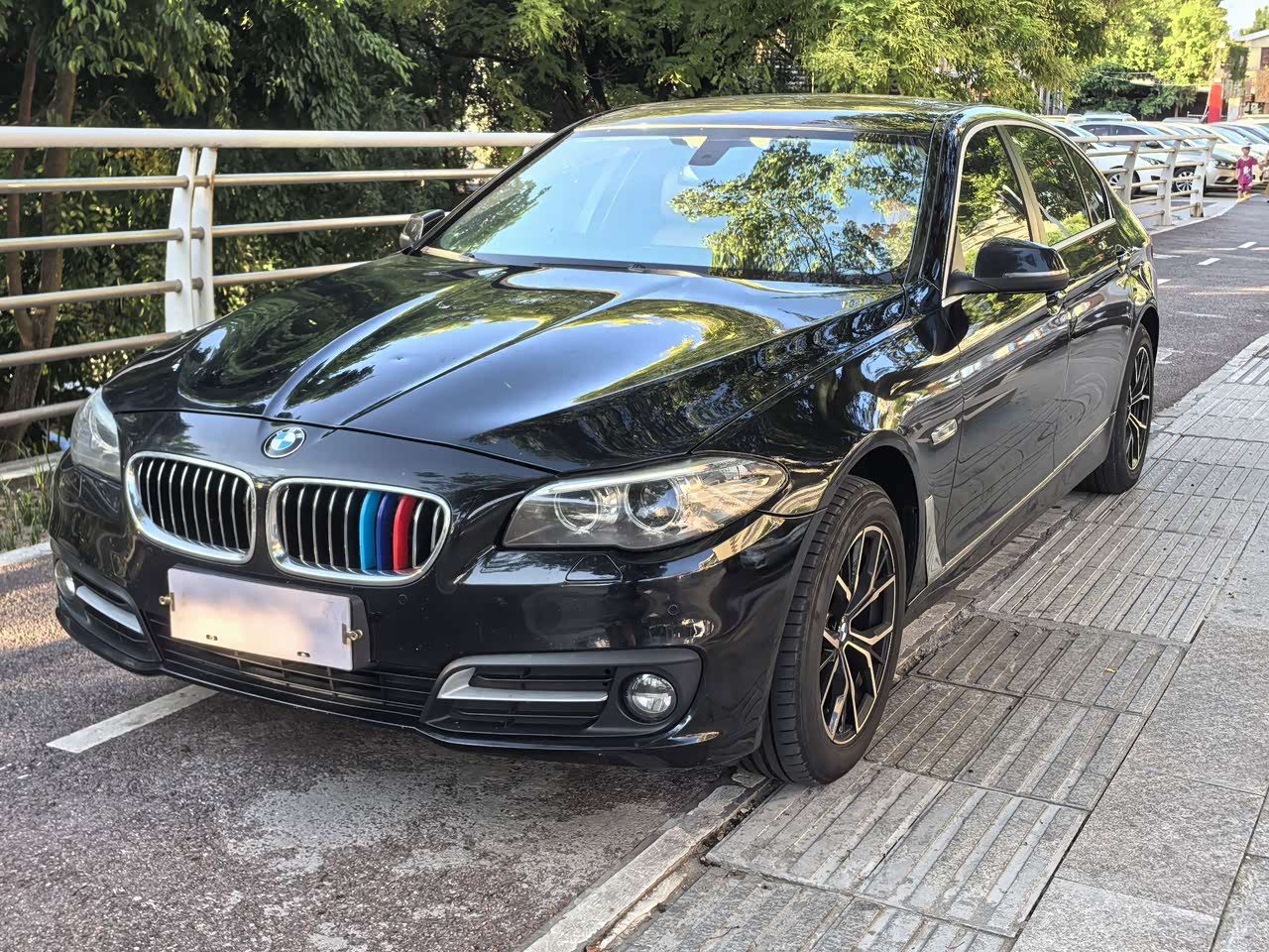 BMW5 Series 2014 520Li
