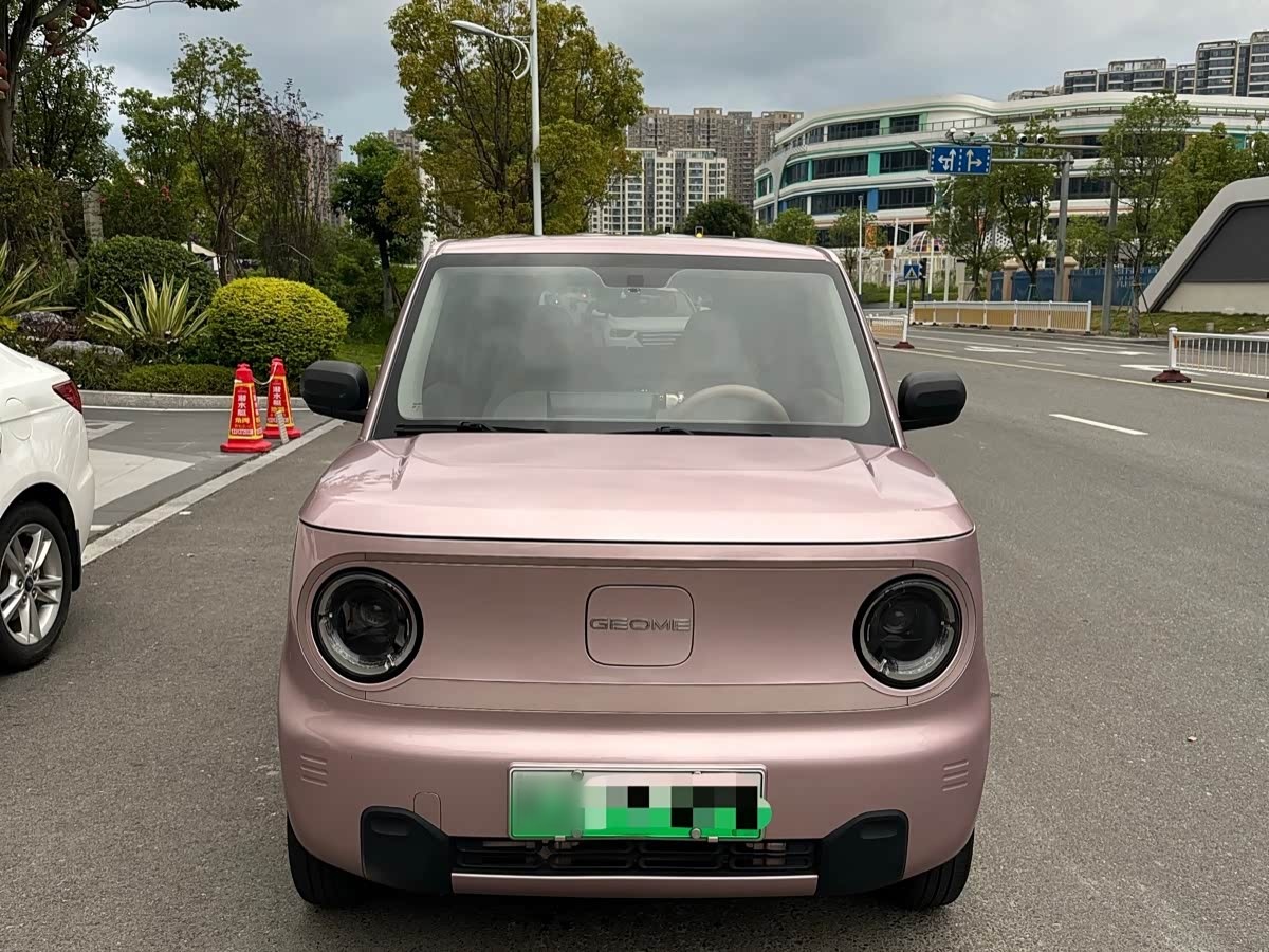 Panda 2023 Panda mini 200km Endurance Bear