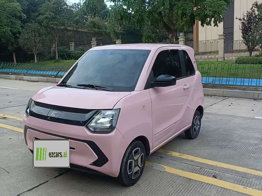 Fengon MINIEV 2022