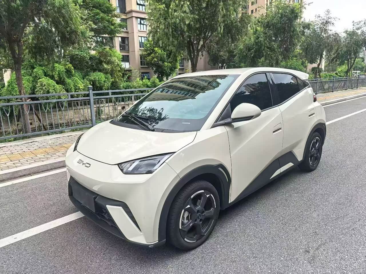 Seagull 2023